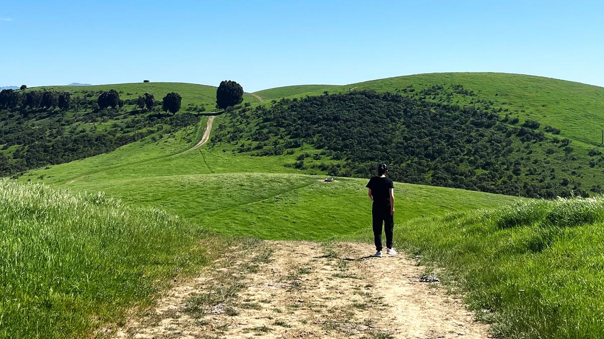 A hiker takes in the trail ahead in the Carquinez Strait Regional Shoreline park in Martinez in April. (John Metcalfe/Bay Area News Group)