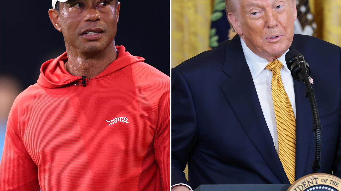 Floridians Demand Max Jail Time For Tiger Woods, Worried About Trump Ties 