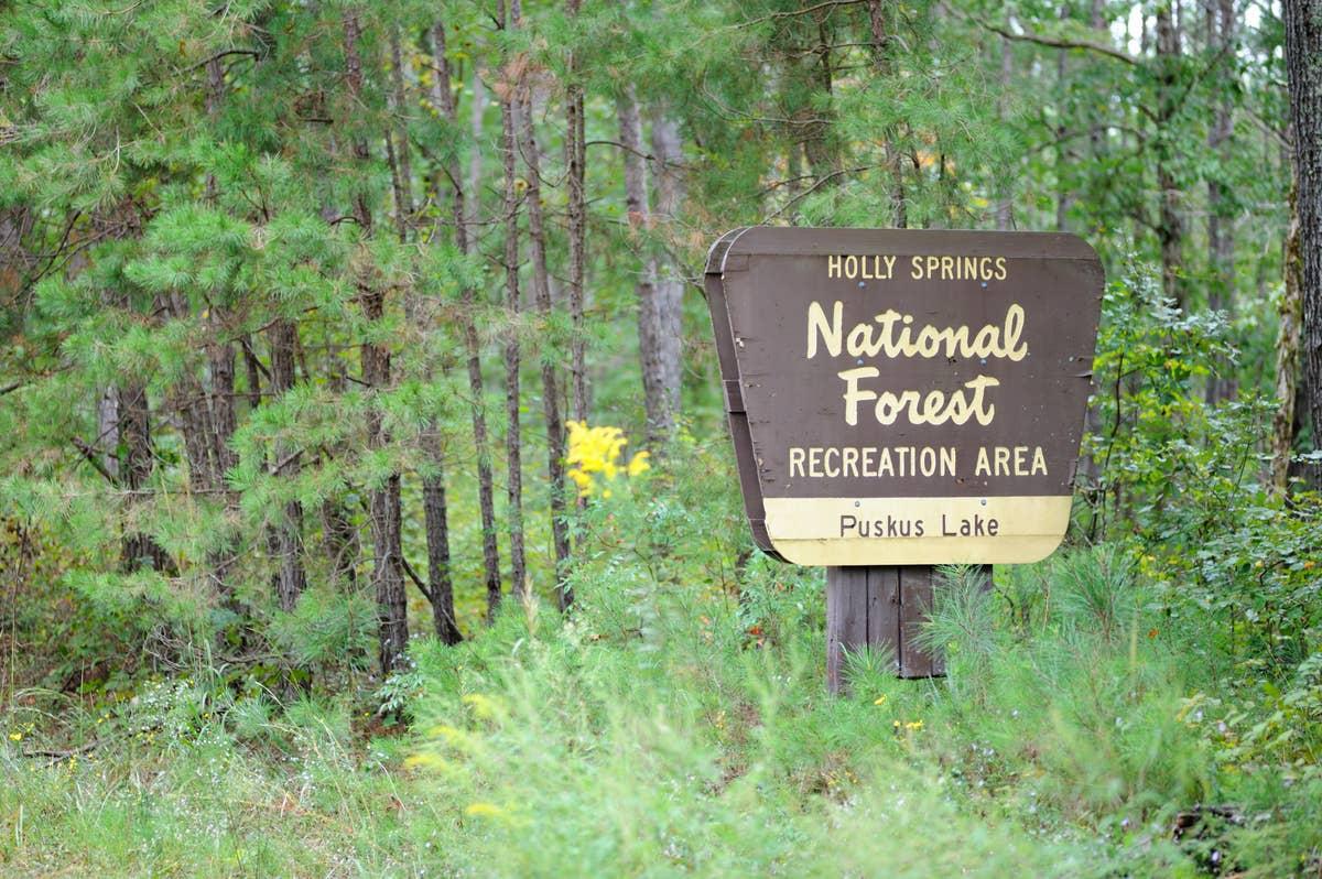  Holly Springs National Forest is a copperhead hotspot in Mississippi.