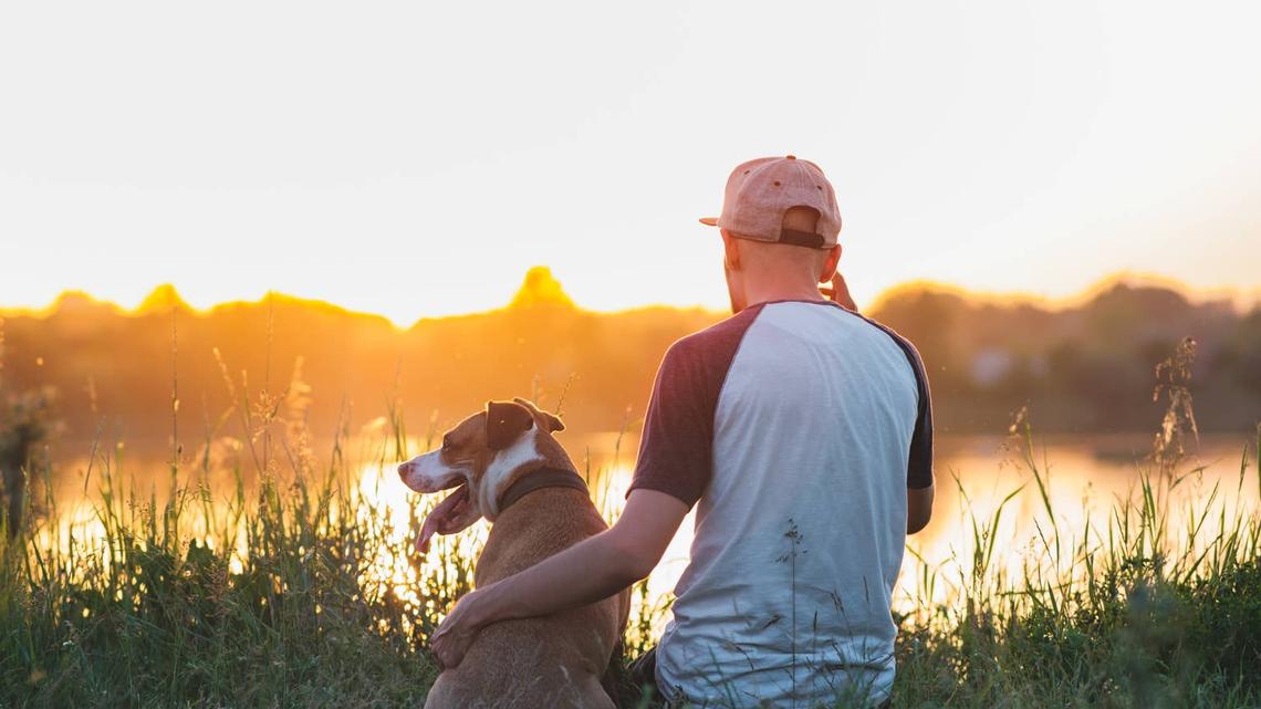 This Heartfelt Video About Seeing Your Dog Again Someday Has the Internet Crying 