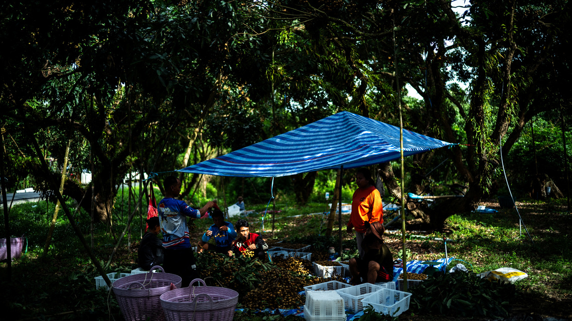 Thai jobs for Myanmar refugees could show way forward for Asian nations, UN says 