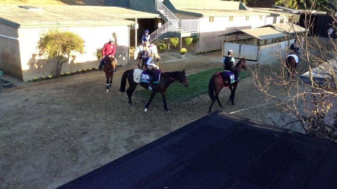 Legislation Aims To Overhaul ‘Outdated' Import Rules For International Racehorses, Sport Horses 