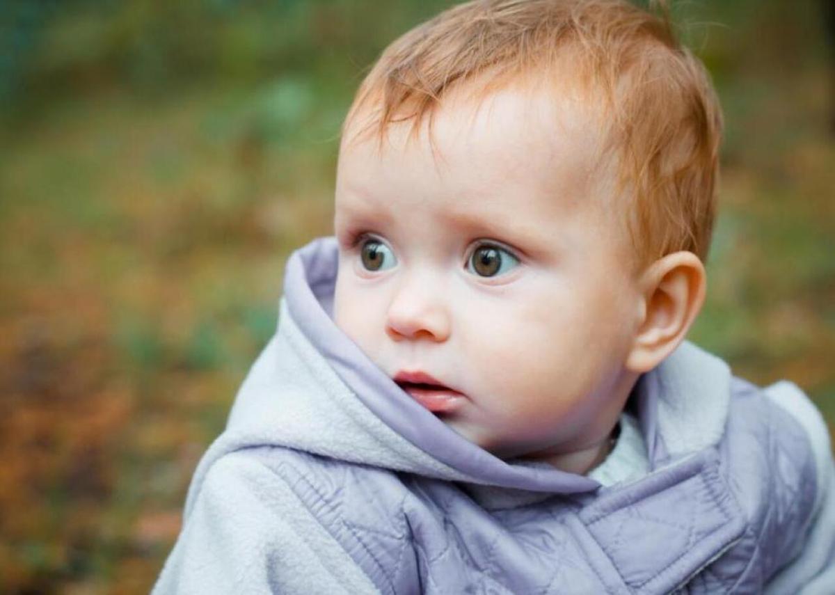  Lipatova Maryna // Shutterstock 