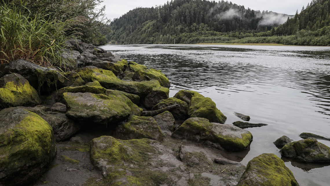 California redwoods gateway is returned to Indigenous tribe. 'That's healing our people too' 