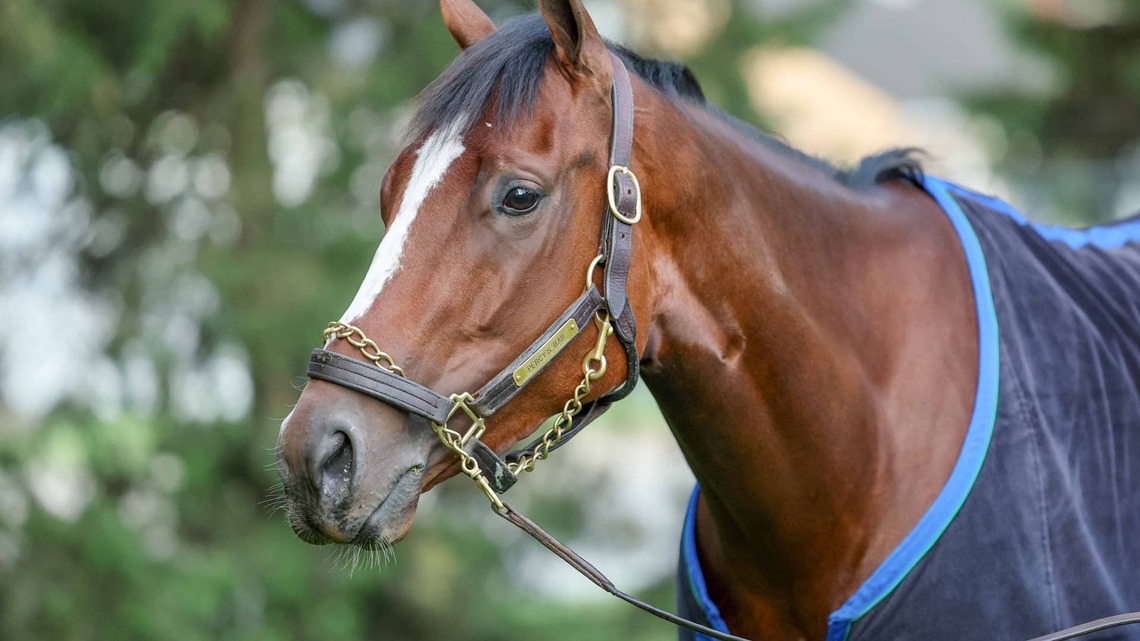 Ashland Winner Percy's Bar Back At Keeneland For Raven Run 