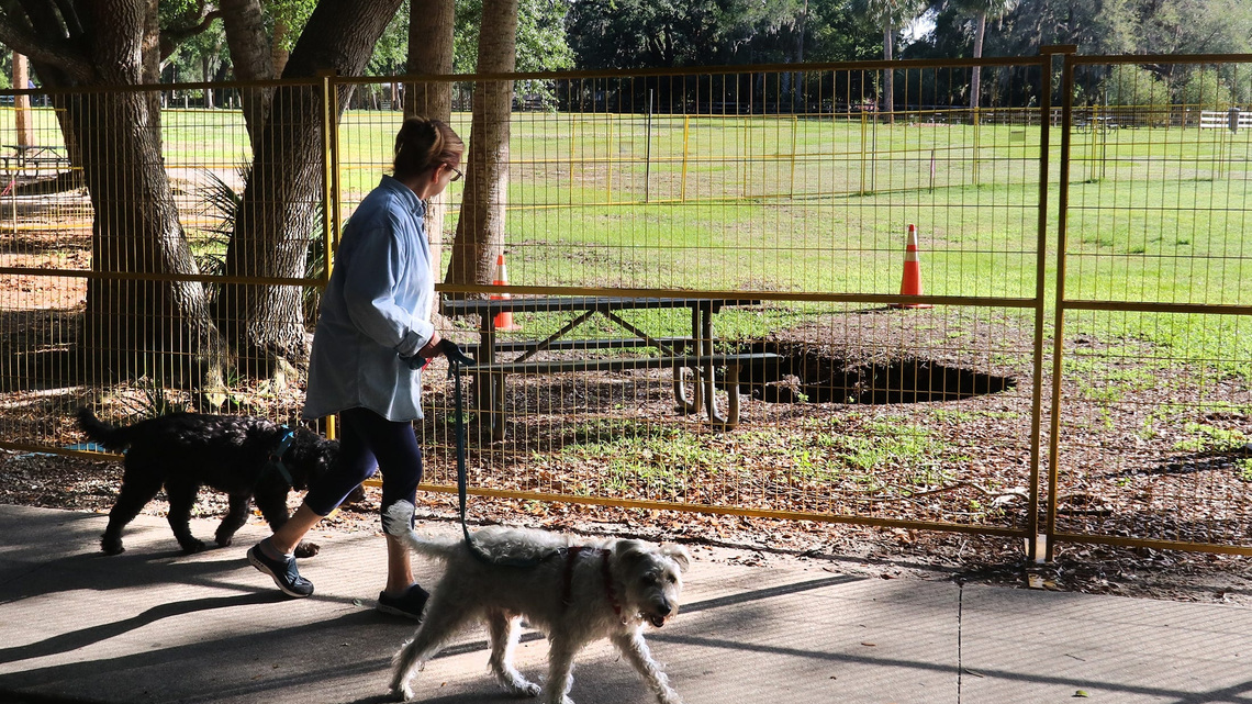 As summer temps rise, how to keep pets safe while out in the heat 