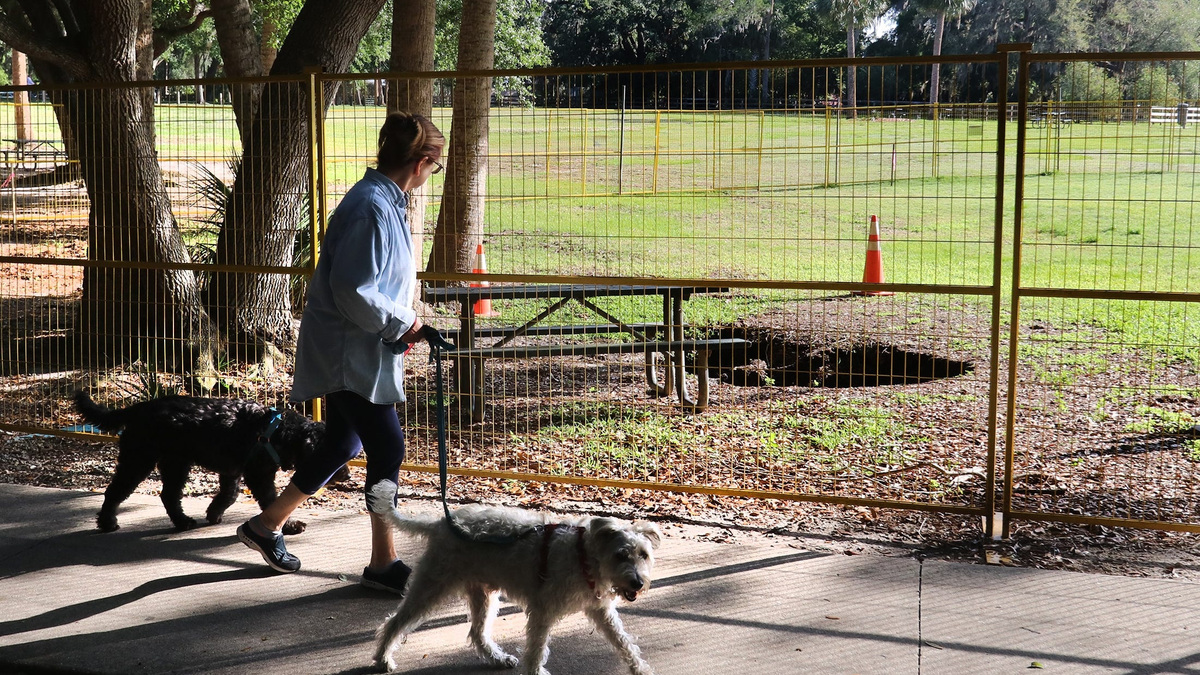 A woman walking her dogs at Gemini Springs, a Volusia County Park in DeBary. [News-Journal/Jim Tiller]