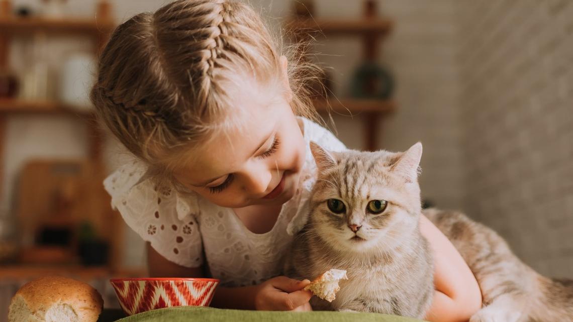 This Little Girl Fell in Love With Her Neighbor's Cat and Everyone Is Melting