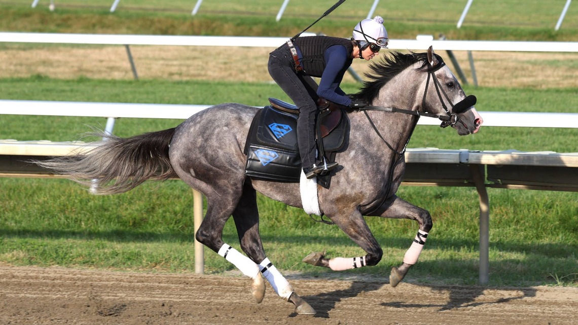 'He Thrives On Work': Napoleon Solo Fires Bullet Work At Saratoga 