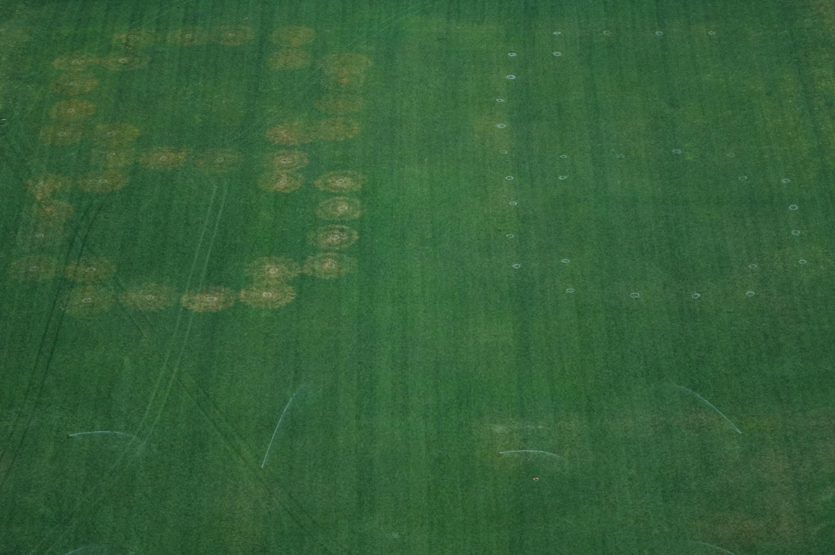 Authorities responded to what appeared to be a large tracing of the term 8647 into the grounds of the National Mall in Washington, D.C., June 11, 2026. A Reuters photographer captured the emerging image from atop the Washington Monument on the Mall's grass shortly before authorities arrived. The arrangement of the numbers was clearly an attempt to show 8647, though the 4 was not fully formed. Federal prosecutors on other occasions have said the term could indicate a threat to President Trump, the 47th U.S. president. REUTERS/ Nathan Howard