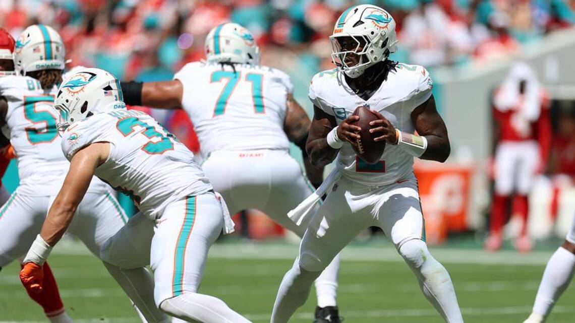 Grading the Dolphins: Surprise Groups with High Marks?