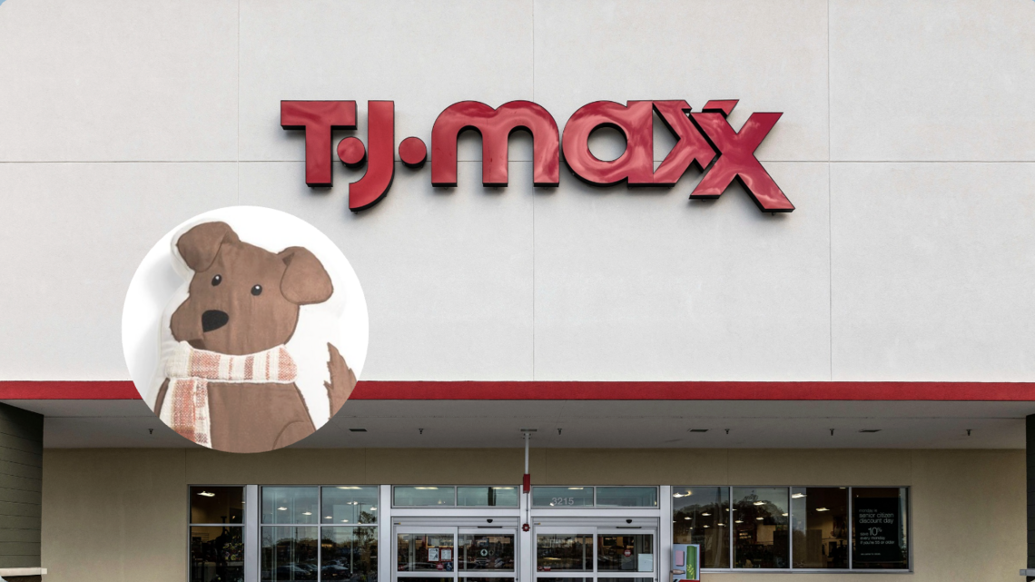 Celebrate National Dog Day With These $20 and Under TJ Maxx Finds!