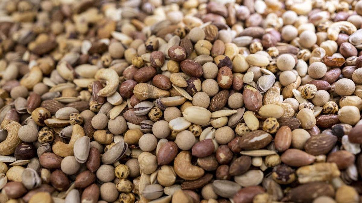 arena photography