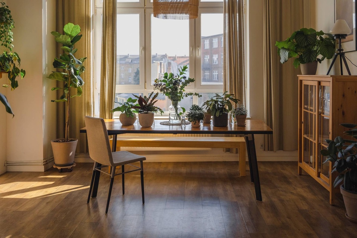 When Should You Bring Houseplants Inside for Fall? Don't Wait for the ...