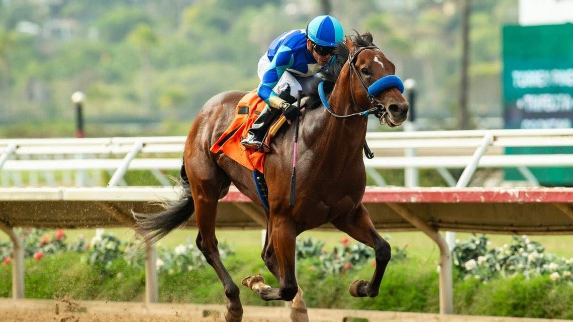 Early Encore Looms In Golden State Juvenile 