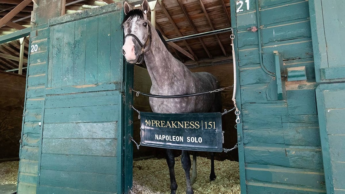 Napoleon Solo Will Compete In Travers, John Velazquez To Ride