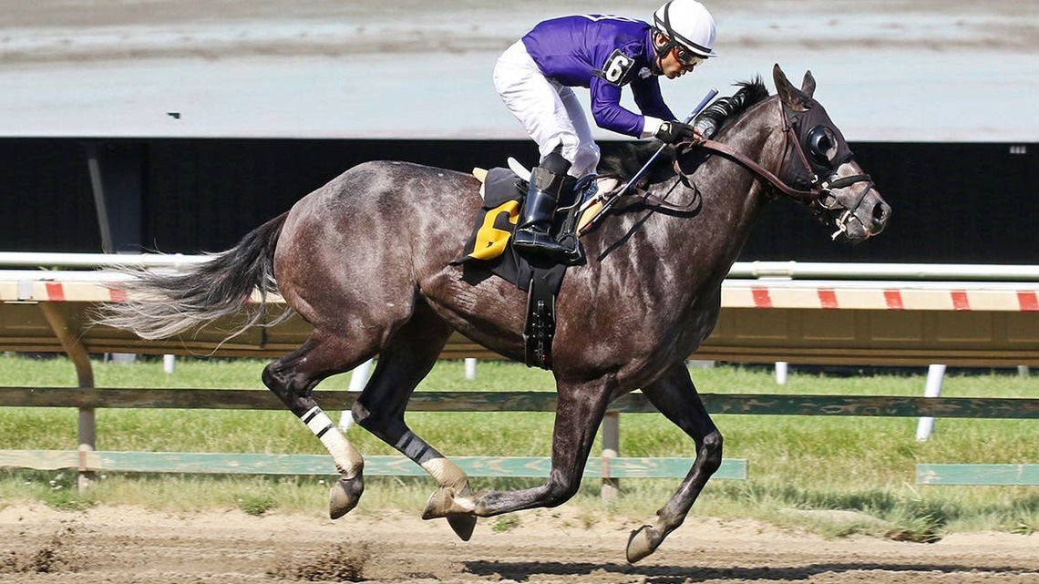Trainer Terri Pompay ‘Taking A Chance' Putting La Frost On Turf For Red Bank 