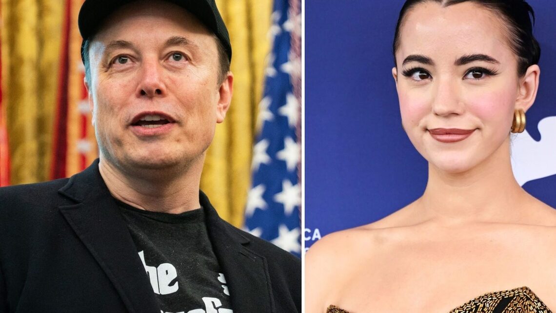 Elon Musk Cut Ashley St. Clair's Child Support by Reported $80K, Doc Claims 