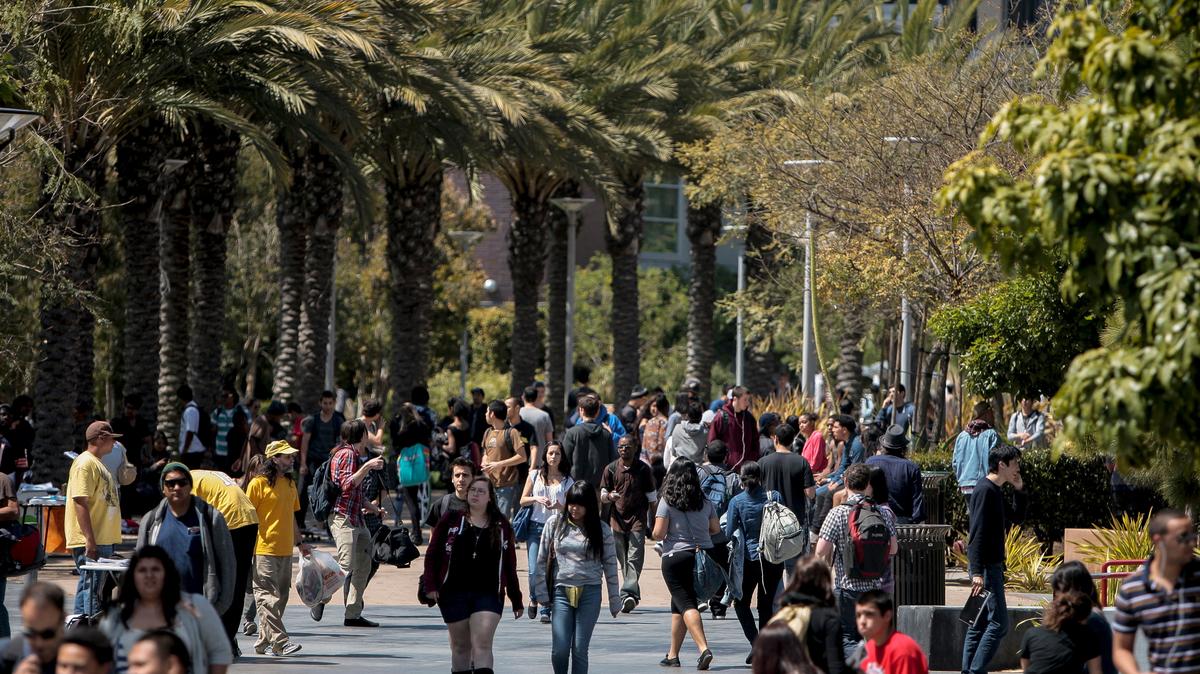 FILE PHOTO: Students walk through campus between classes at Santa Monica College in Santa Monica, California April 4, 2012.  REUTERS/Bret Hartman/File Photo