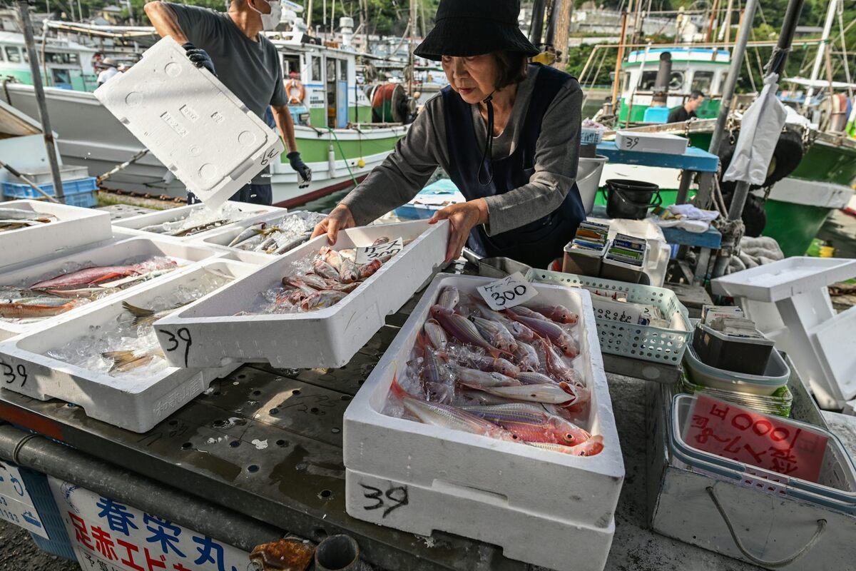  In many countries, men do most of the fishing and women sell the fish in local markets. Artur Widak/NurPhoto via Getty Images 