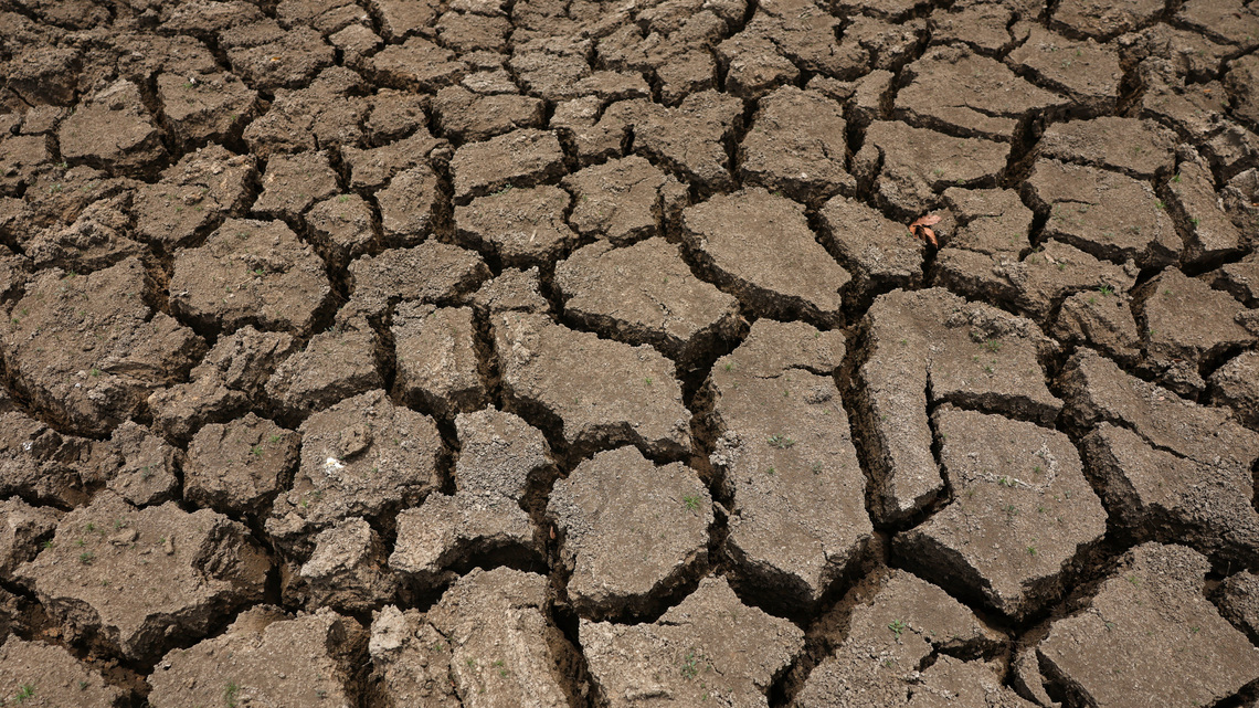 Sri Lanka bars tourists from heart of drought-hit park as El Nino looms 