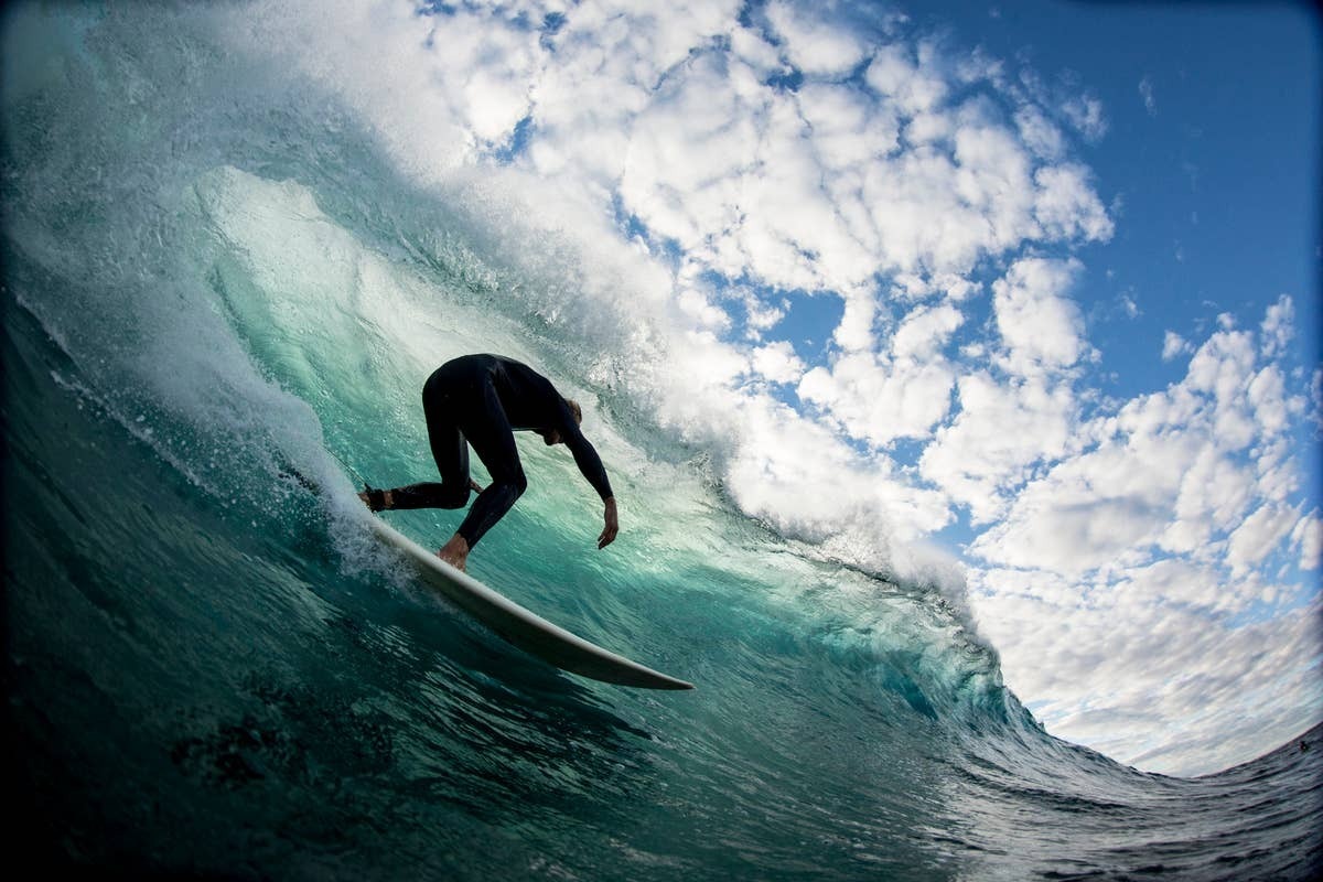  Australia's coastal surf zones overlap with saltwater crocodile habitat.
