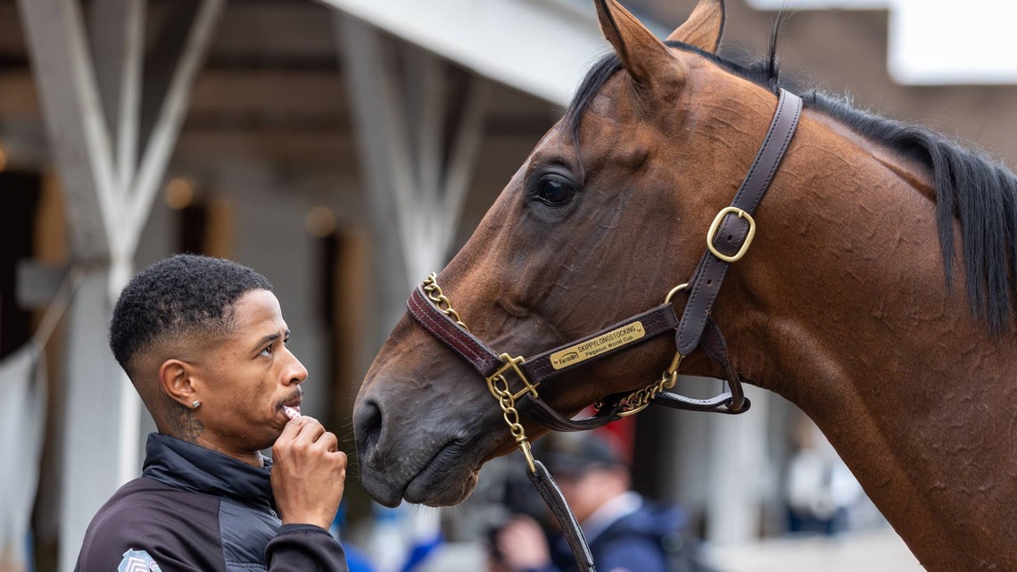 Skippylongstocking Will Miss Breeders' Cup Classic 