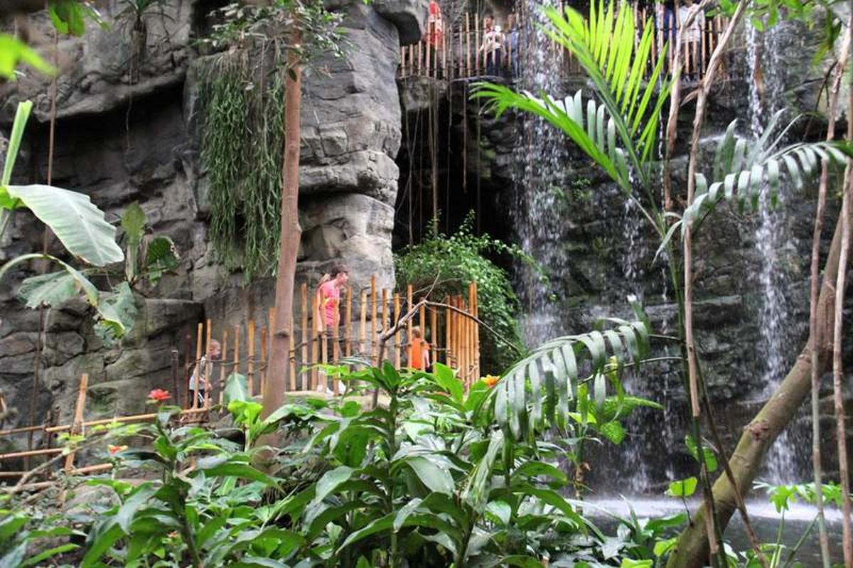  The Lied Jungle inside the Henry Doorly Zoo and Aquarium in Omaha is the largest indoor rainforest in the United States. Photo credit: Lisa Chism 