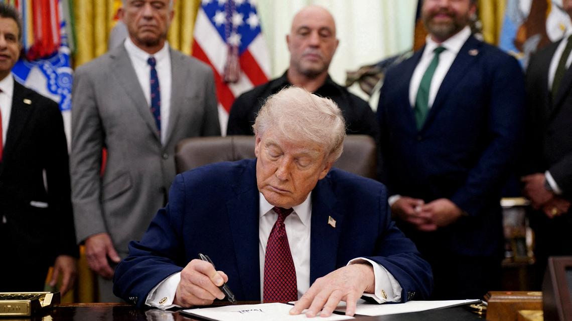 Trump's psychedelic drug order boosts investor interest with promise of faster reviews 