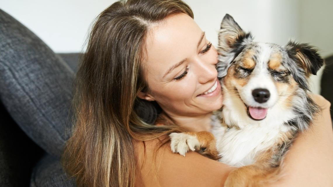 8 Signs Your Pup Is Totally Smitten With You, According to Experts