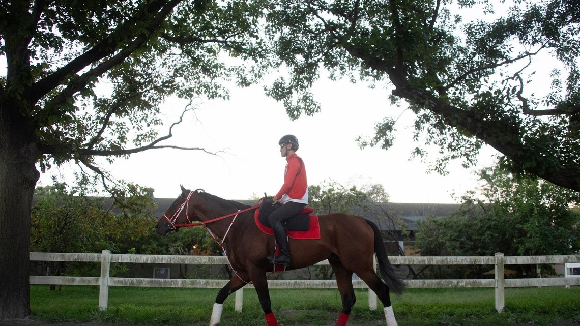 Forever Young Likely To Breeze Sunday At Belmont 