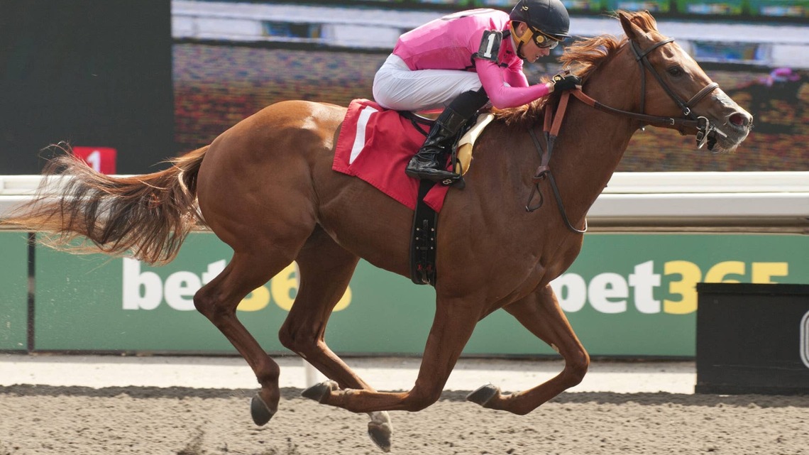 Military Time Favored In Prince Of Wales 