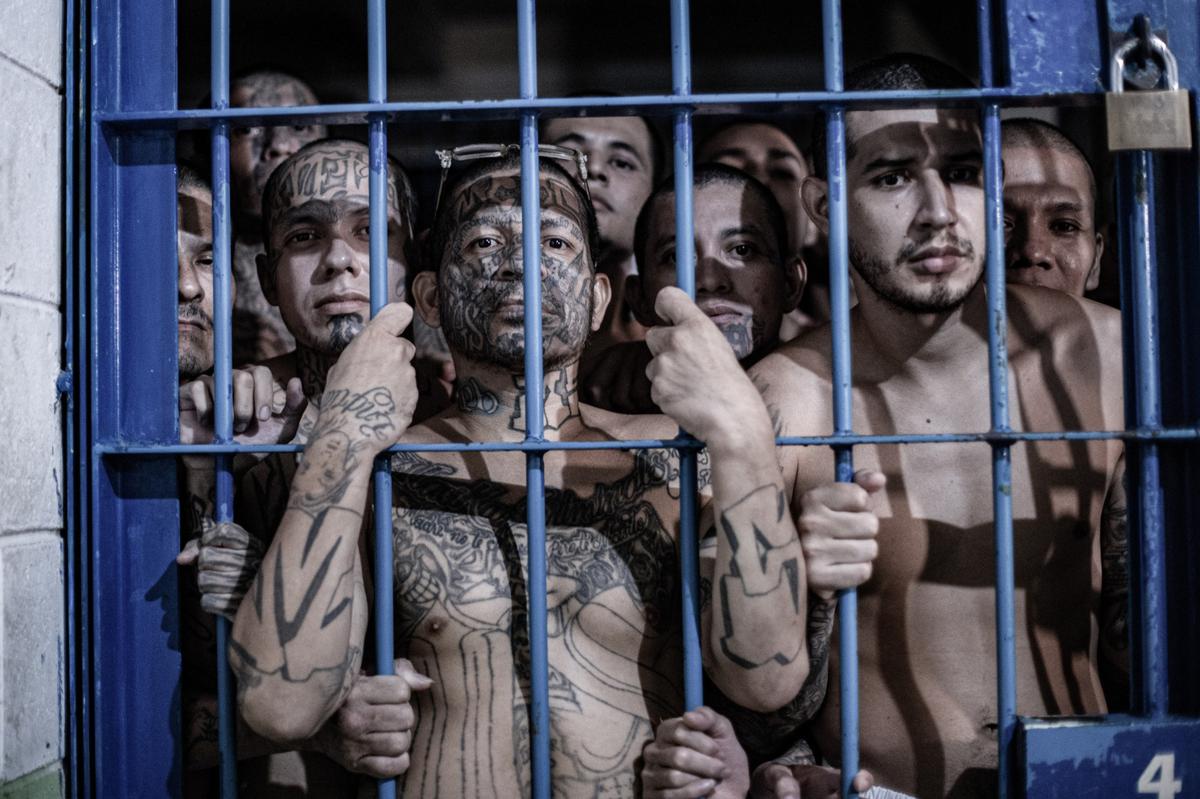 In this handout photo released by the Salvadoran presidency, inmates are seen inside a cell at the Terrorist Confinement Centre (CECOT), a mega-prison in Tecoluca, El Salvador, on June 11, 2024.