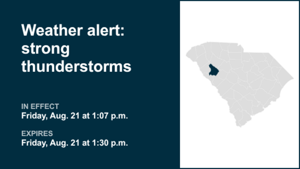 Thunderstorms with pea-sized hail in Greenwood County Friday - gusts may reach 40 mph 