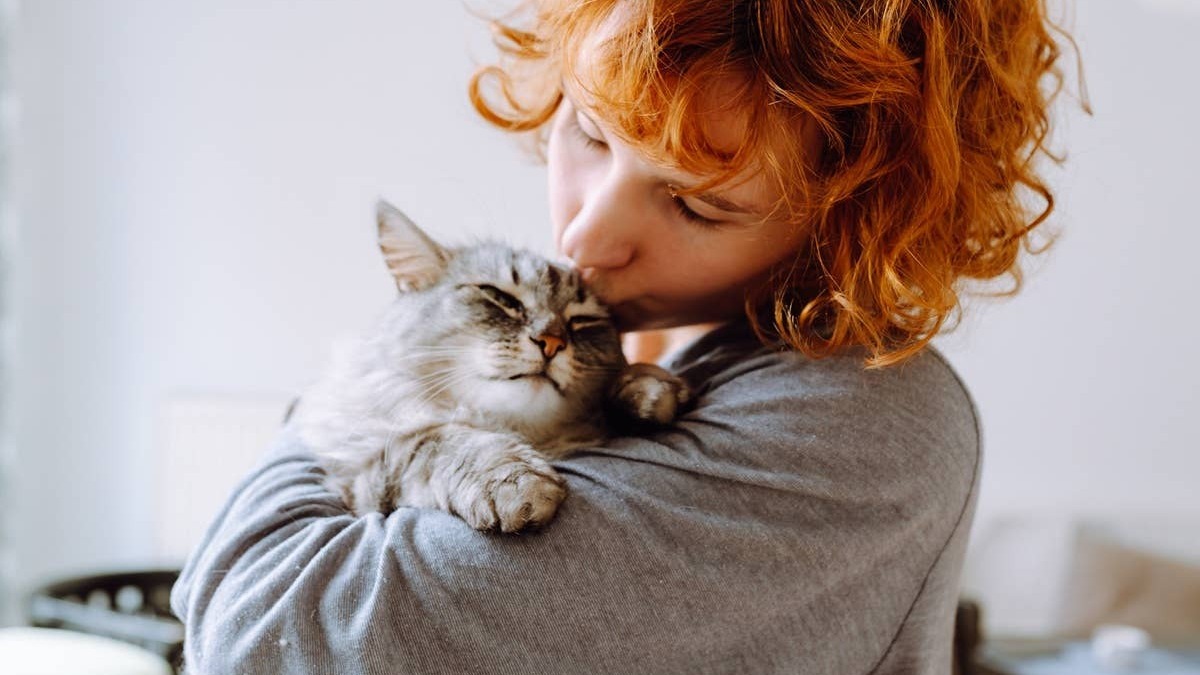 Some cats only like affection from their favorite people. 