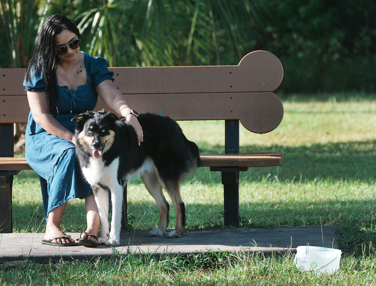 Jane Toris and Leo cool off in the shade while playing with other dogs on Wednesday, July 16, 2025, at the YMCA dog park in Ormond Beach.