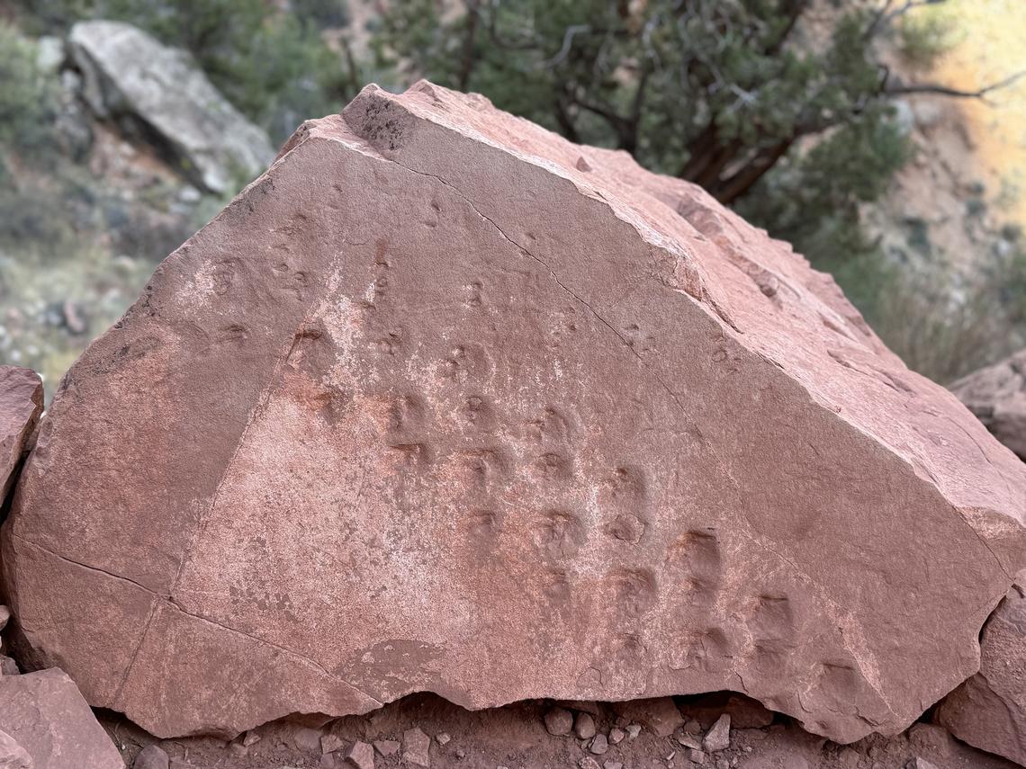 Lori Rackl/Lori Rackl/TNS