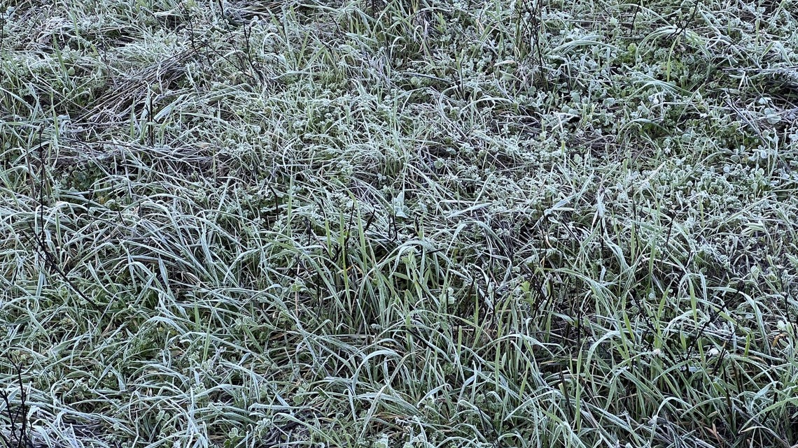 Map Shows US States Bracing for First Widespread Freeze This Fall 