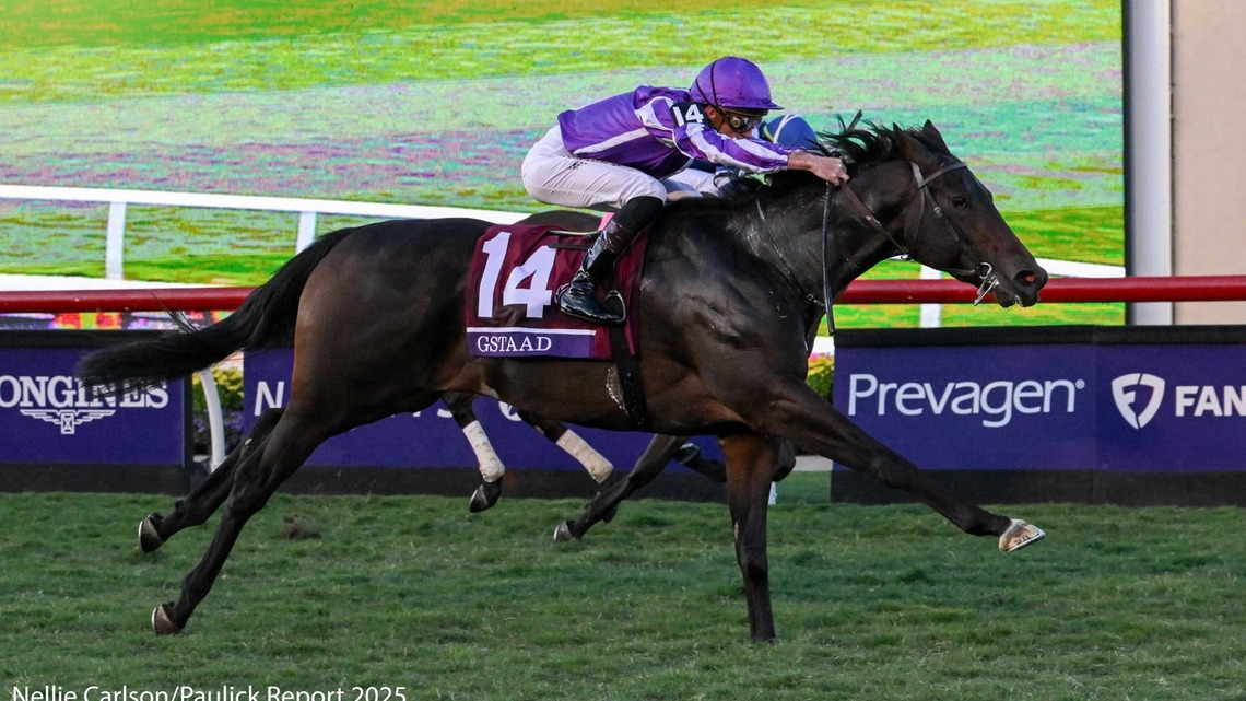 'Remarkably Tough': Breeders' Cup Juvenile Turf Winner Gstaad Retired To Coolmore Stud 