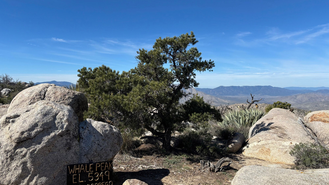 Maura Fox: 5 of my favorite hikes in San Diego County 