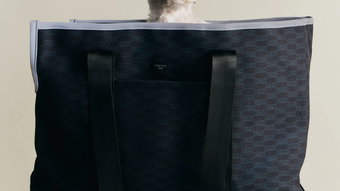 Kith for wagwear Carpenter Bag Carrier, in black.