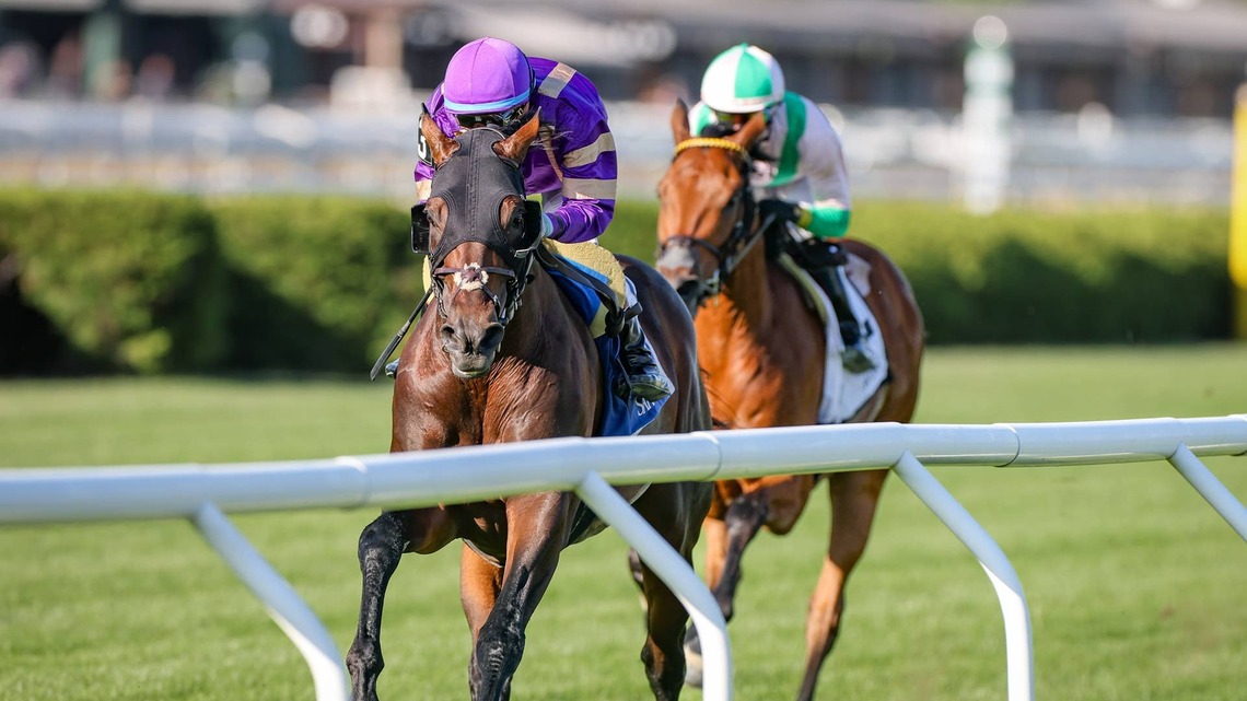 Tawny Port Will Try To Go The Distance Again In Bowling Green Gold Cup 