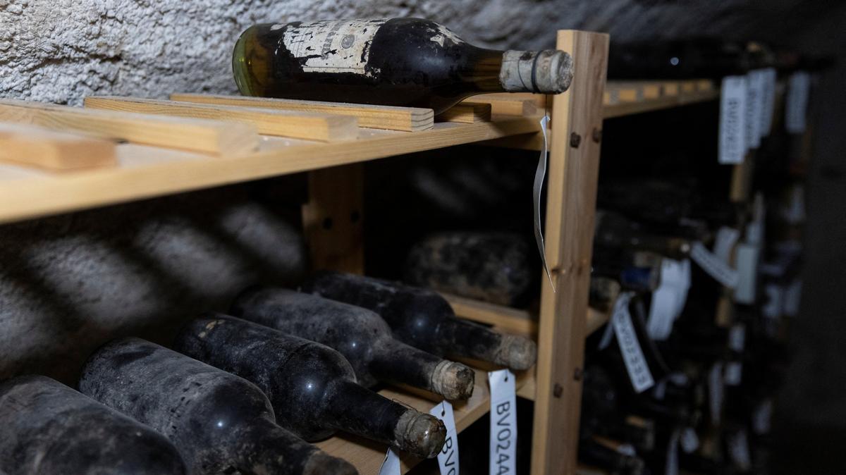 Bottles of 19th-century wine are kept on shelves in a cellar of Becov castle, as State Castle and Chateau of Becov nad Teplou, where the restored Chateau d'Yquem wine collection, discovered in 1985 and linked to the Beaufort-Spotin family, is presented to the public following a complex restoration with French experts in Becov nad Teplou, Czech Republic, June 1, 2026 REUTERS/Eva Korinkov