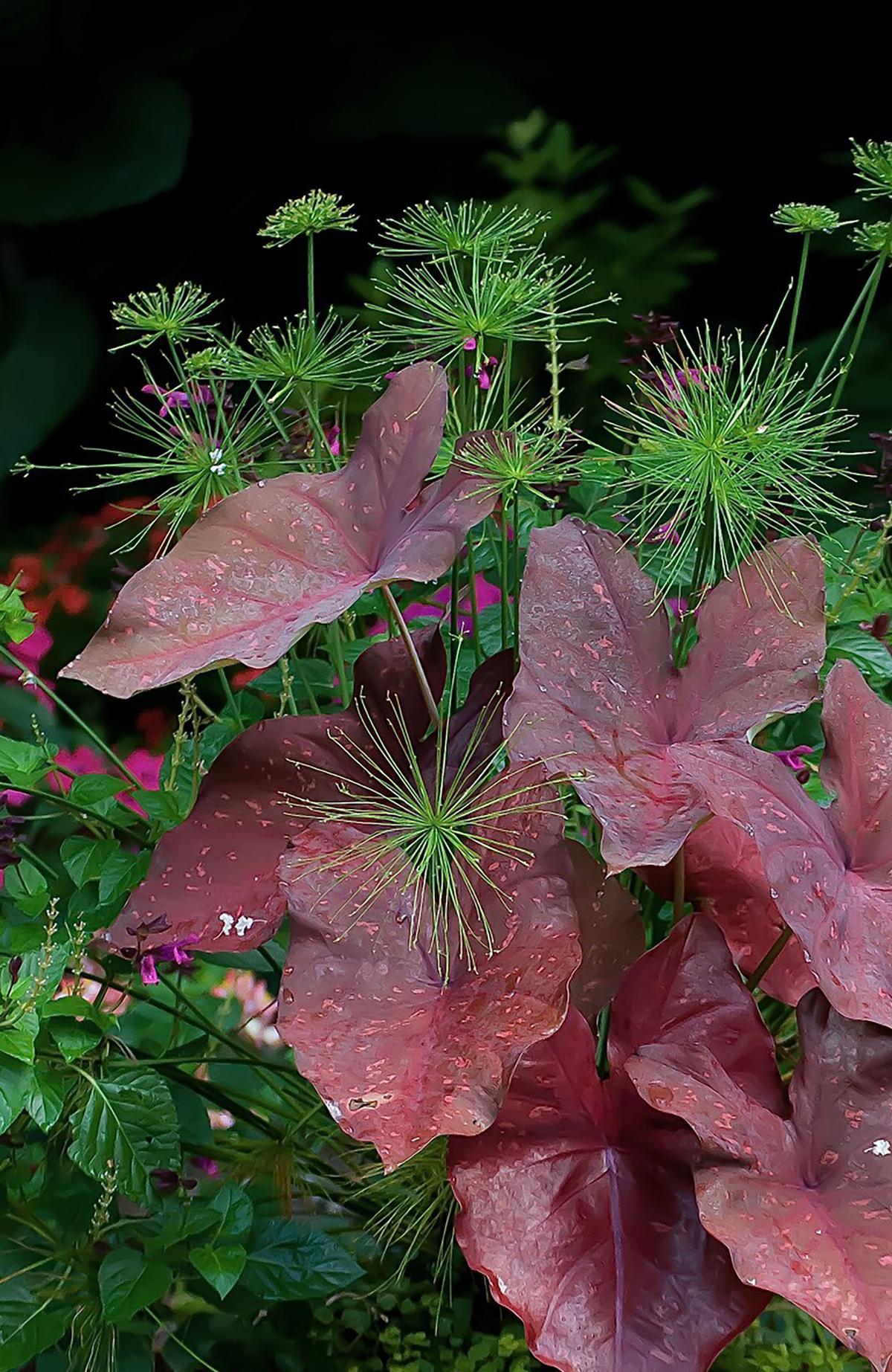 Norman Winter/Norman Winter/TNS