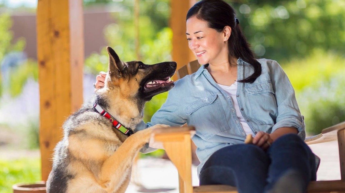 These Protective and Loyal Dog Breeds Have Major "I've Got Your Back" Energy, According to a Trainer 