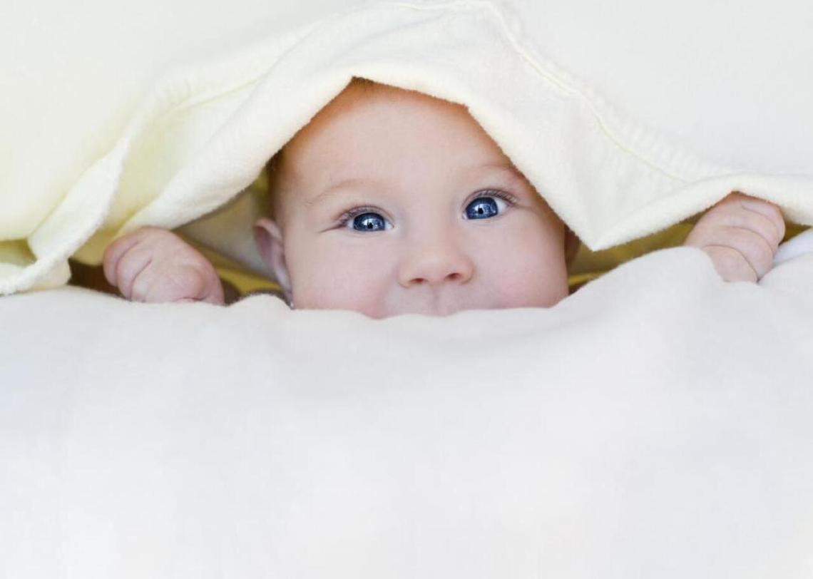  Zdenka Darula // Shutterstock 