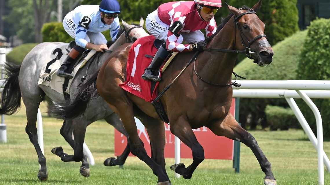 Pros And Cons Steps Back Into Stakes Company For P.G. Johnson 