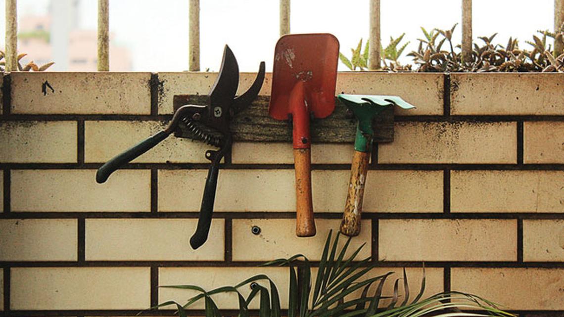 
        5 Tips for Choosing Gardening Essentials
       