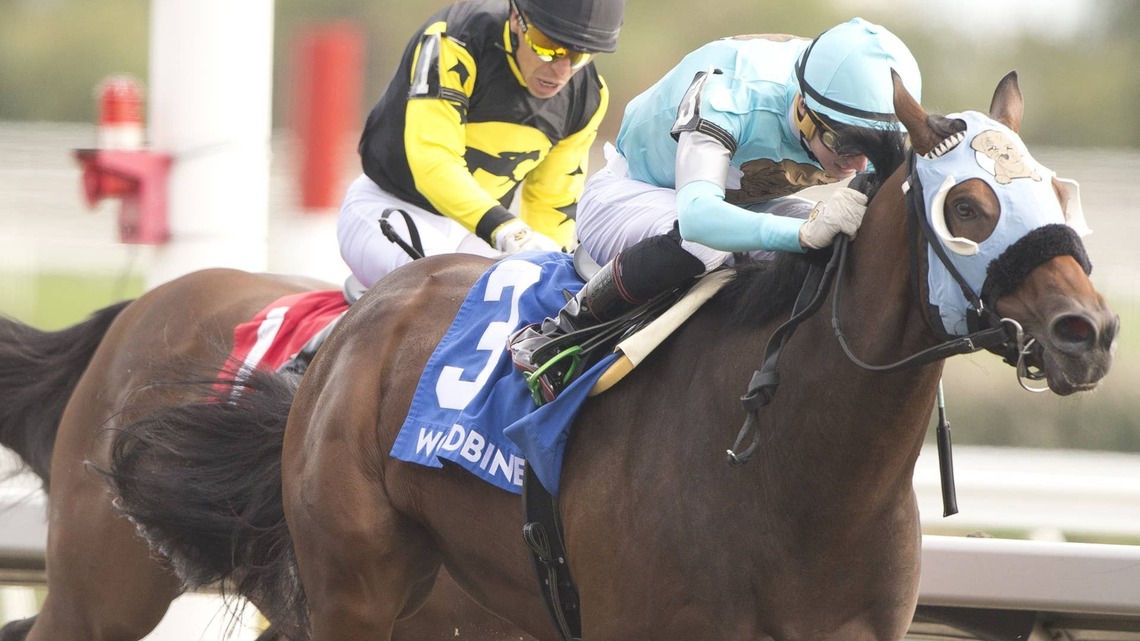 My Covenant Wires Woodbine's Inaugural Sophomore 