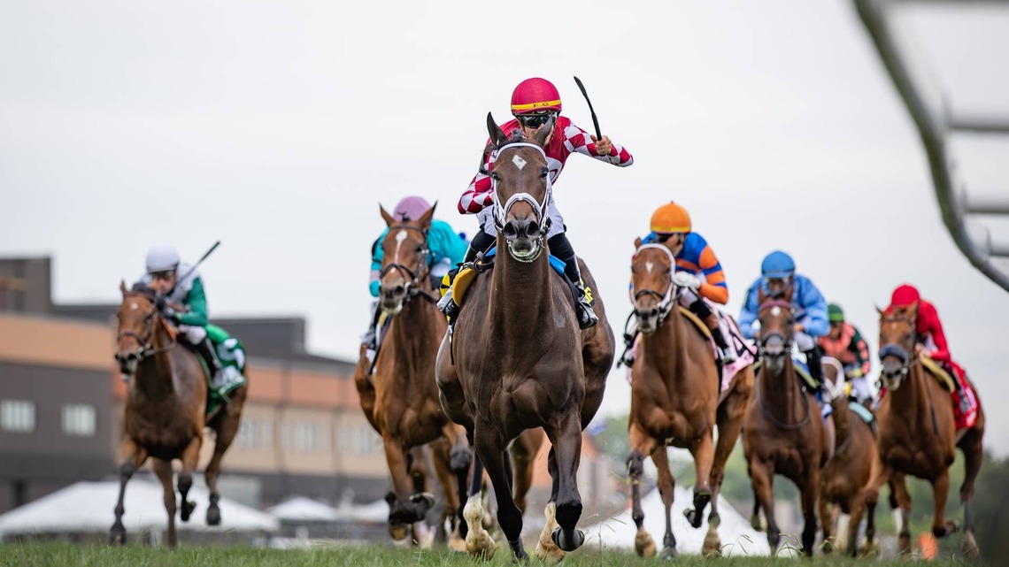 ‘She Should Run A Big Race': Stellify Returns To Kentucky Downs To Defend Ladies Marathon Title 